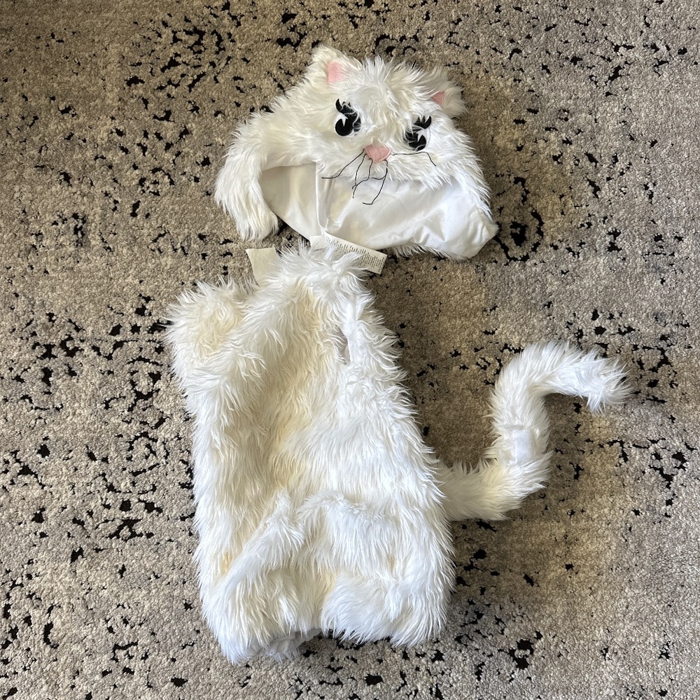 Pottery Barn Cat Costume